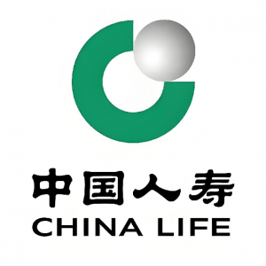 中国人寿保险股份有限公司河池市南新西路支公司