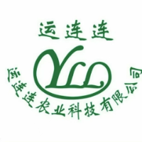 广西运连连集团有限公司