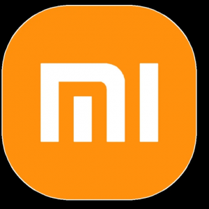 小米之家宜州解放路店