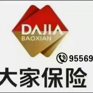 大家财险河池中支