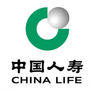 中国人寿保险股份有限公司河池市宜州支公司
