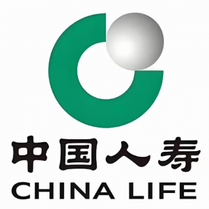 中国人寿保险股份有限公司天峨支公司